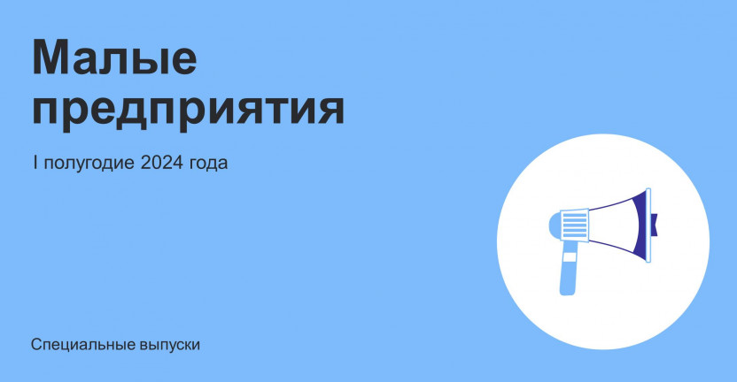 Итоги работы малых предприятий Вологодской области  в I полугодии 2024 года